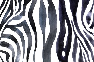 Beyaz-siyah zebra baskılı suluboya hayvan arka plan