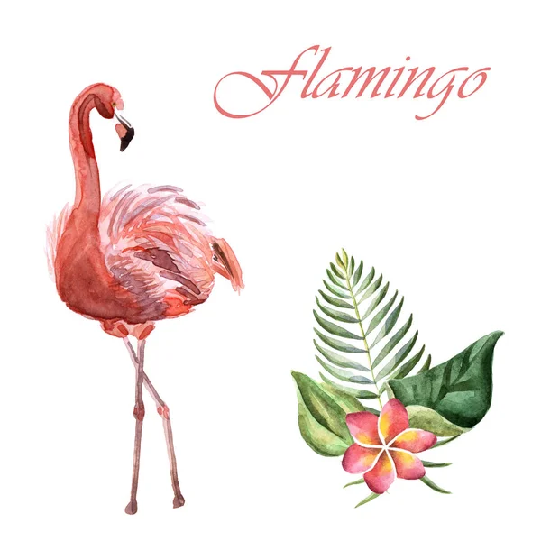 Akvarell rózsaszín Flamingo izolált fehér alapon — Stock Fotó