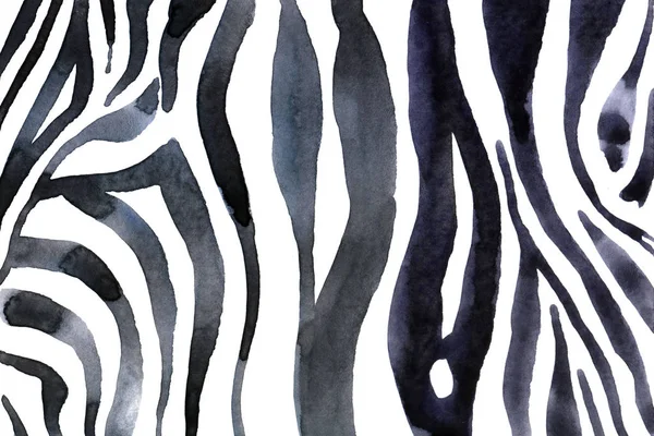 Beyaz-siyah zebra baskılı suluboya hayvan arka plan