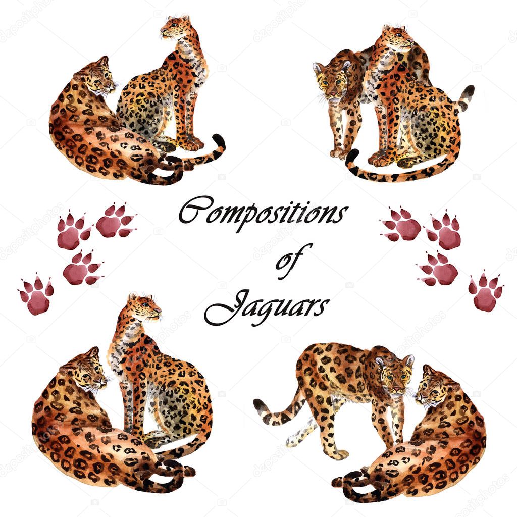 Watercolor jaguar isolated on a white background