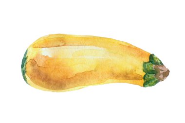 Beyaz arkaplanda izole edilmiş suluboya kabak