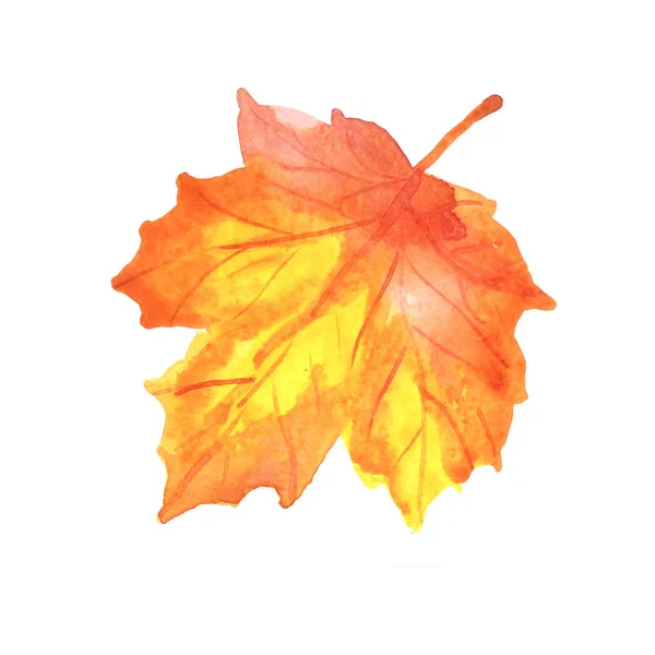 Aquarelle feuille d'érable d'automne isolée sur fond blanc — Photo