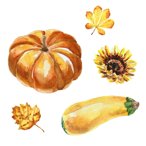 Akvarell összetétel sütőtök, tök, sárga levelek és napraforgó — Stock Fotó