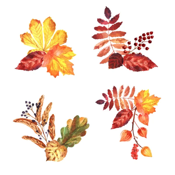 Aquarel herfst composities met bloem en bladeren op een witte achtergrond — Stockfoto