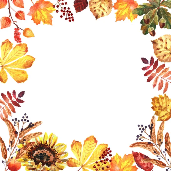 Watercolor autumn frame with leaves, berries and sunflower — Stock Photo, Image