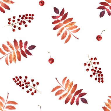 Beyaz arka planda yapraklar ve elmalarla suluboya dikişsiz desen