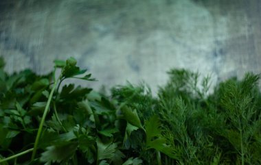 Koyu, eski bir ahşap arka planda yeşil baharatlı dereotu ve maydanoz, çözünmüş fotoğraf, bulanık arkaplan; koyu bir arka planda yeşil çimenlerin soyut kompozisyonu, ev tariflerinde pişirme