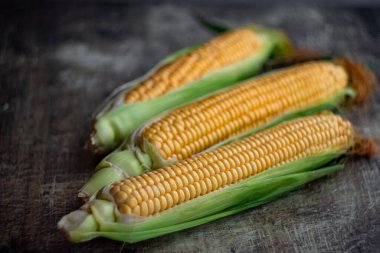 Koyu arkaplanda olgun sarı mısır başakları