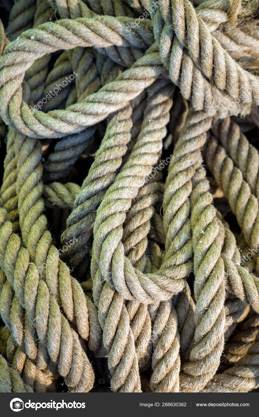 Ship ropes heap. Pile of various ropes and strings. Stock Photo by ©Max ...