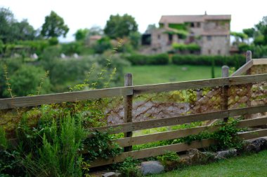 Toskana'da çit ve çiçekler