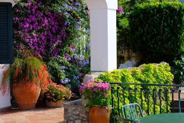 Positano İtalya üzerinde Çiçekler
