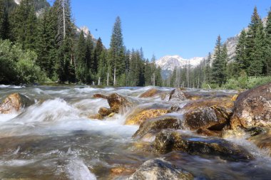 büyük Tetons acele nehir