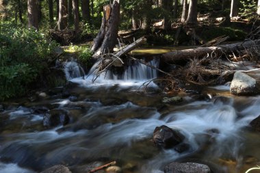 Büyük Teton'larda Dağ Deresi