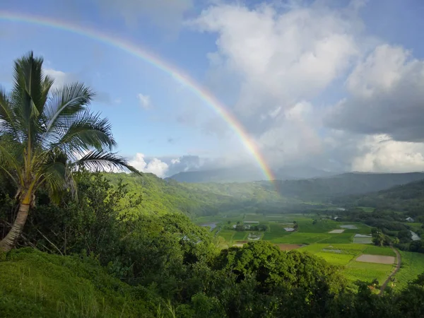 Kauai Üzerinde Hanalei Vadisine Bakan Gökkuşağı — Stok fotoğraf