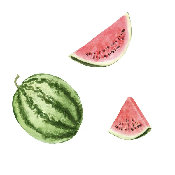 Hand Drawn Brigt Colorful Watercolor Watermelon Isolated White Background Whole — Stock Photo, Image