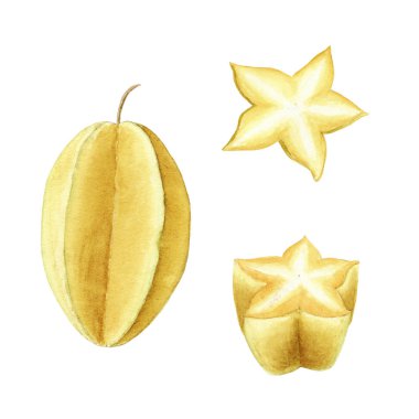 el çizilmiş brigt renkli suluboya karambol beyaz arka plan üzerinde izole. bütün meyve ve dilim. tropik meyve