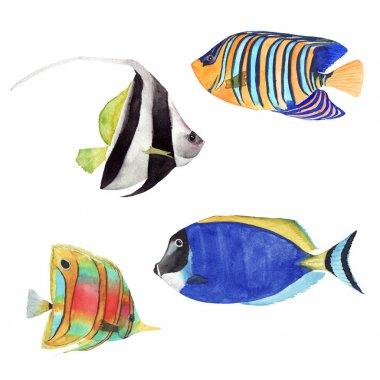 el çizilmiş suluboya illüstrasyon renk parlak tropikal balık