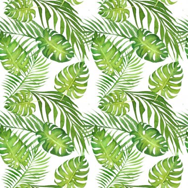 beyaz yeşil monstera yaprakları ve palmiye ağacı yaprakları ile suluboya çiçek tropikal dikişsiz desen