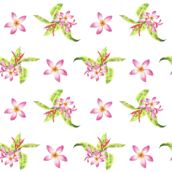 Aquarela floral padrão tropical sem costura com folhas de monstera verde e flores de plumeria rosa no fundo branco — Fotografia de Stock