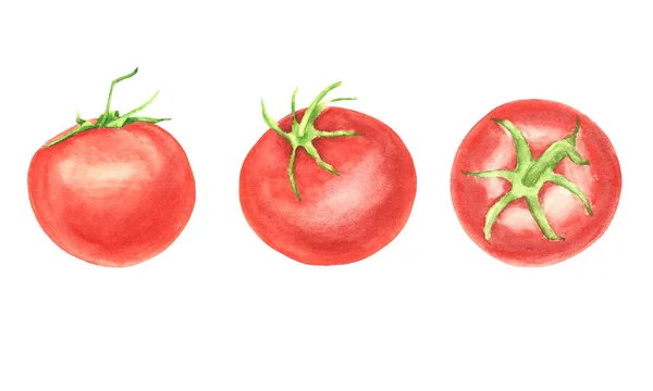 Acuarela pintada a mano conjunto de tomate vegetal aislado — Foto de Stock