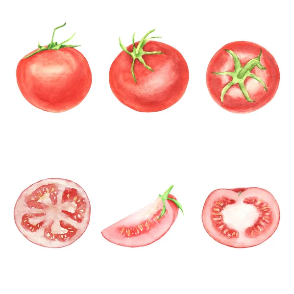 Conjunto acuarela de tomate vegetal aislado sobre fondo blanco — Foto de Stock
