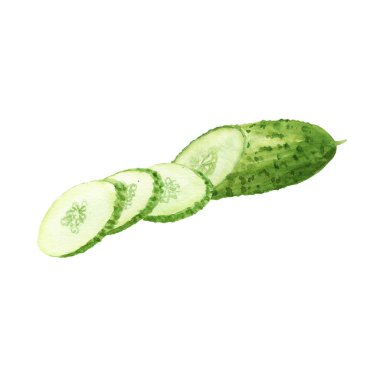 el boyalı Suluboya yeşil taze salatalık sebze izole