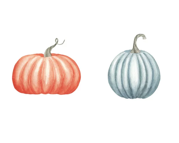 Ilustración acuarela dibujada a mano. Set de calabazas naranjas maduras . — Foto de Stock