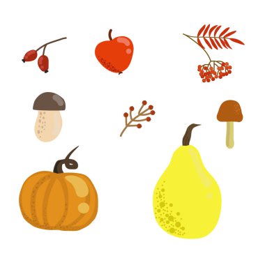 Şükran Vektör illüstrasyon. Beyaz arka plan üzerinde izole pumkins, sonbahar yaprakları ve çilek ile ayarlayın.