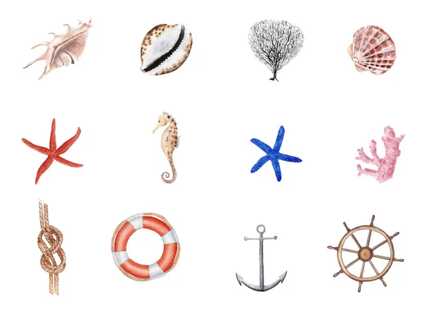 ชุดภาพประกอบทางทะเลสีน้ําวาดด้วยมือ Anchor, Knot, ม้าทะเลและเปลือกหอยทะเลแยกกันบนพื้นหลังสีขาว . — ภาพถ่ายสต็อก