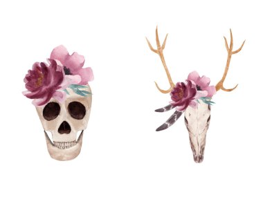 El çizilmiş Suluboya insan ve geyik kafatası çiçek ile ayarlayın. Cadılar Bayramı boho tarzı illüstrasyon.