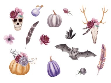 El çizilmiş suluboya Halloween boho tarzı kabak, yarasa, çiçek, tüy ve kafatası ile ayarlayın.