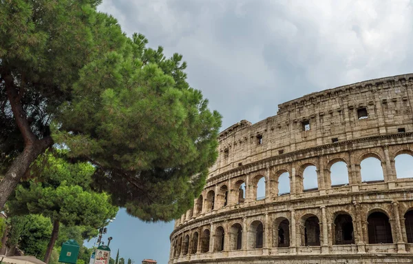 Колизей Дерево Облачным Небом Риме Италия — стоковое фото