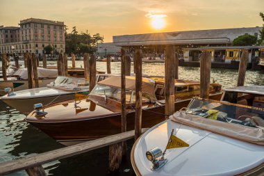 İtalya, Venedik 'teki Büyük Kanal' ın kıyısında bir sütunun üzerindeki martı.