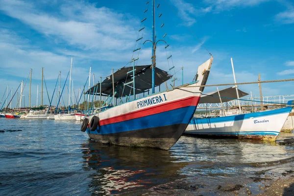 Ünlü Largo do Pelourinho ve mimarisi Salvador, Brezilya 'daki renkli binalar