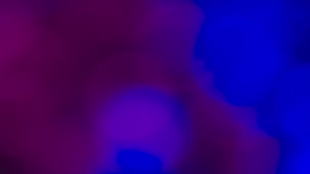 Lumières de nuit pour le Parti bleu flou
