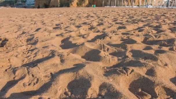 Portekiz Şehir Albufeira Beach Güneşli Yaz Gün — Stok video
