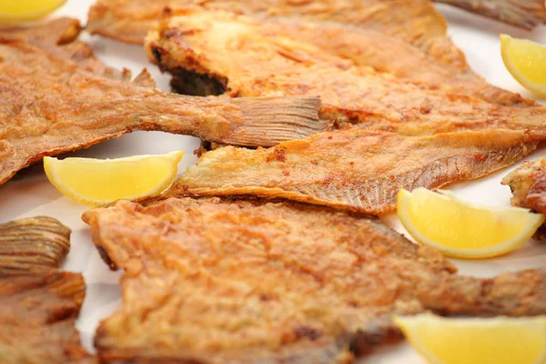 Pisi balığı Yassı balık yakın çekim