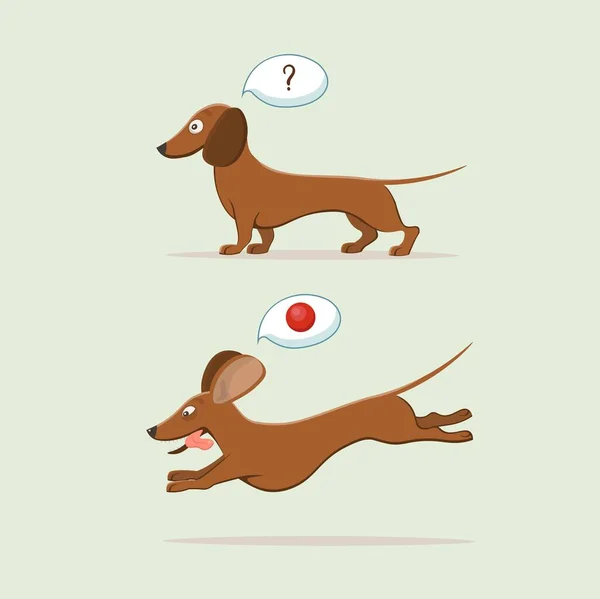 Desenhos Animados Bonitos Dachshund Vector Ilustração —  Vetores de Stock