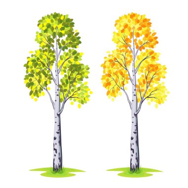 Beyaz arkaplanda ağaç huş ağacı. Vektör illüstrasyonu.