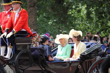 Meghan Markle & Prince Harry stock, London uk,  8 June 2019- Meghan Markle Prince Harry Kate Middleton Camilla Parker Bowles Trooping the colour Royal Family Buckingham Palace stock Press photo clipart