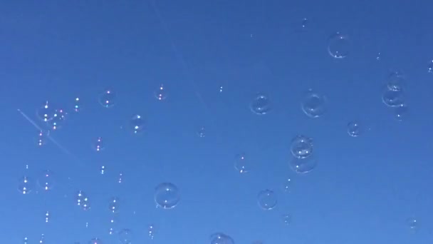 Bubbla Flytande Bakgrund Tvål Kopia Bubbla Bubblor Flytande Tvål Drift — Stockvideo