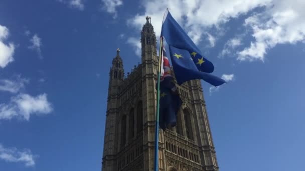 London Egyesült Királyság Szeptember 2019 Brexit Tüntetők Kívül Házak Parlament — Stock videók