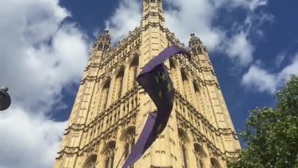 Лондон Украина Сентября 2019 Года Протестующие Против Брексита Перед Зданиями — стоковое видео