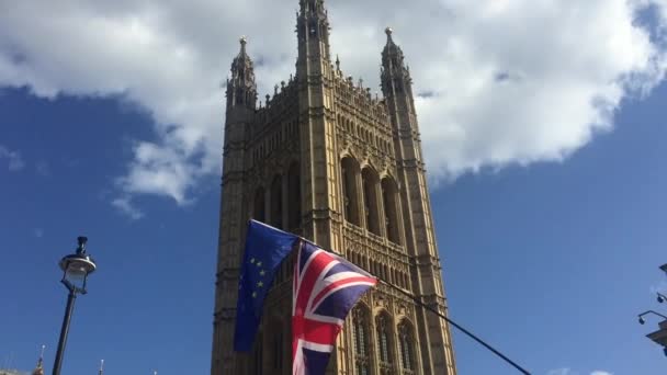 ロンドン 2019年9月17日 カメラクルー 欧州連合の旗の外にある反ブレグジット抗議者 株式映像ビデオ — ストック動画