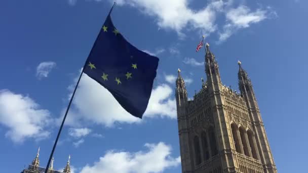 Londýn Září 2019 Protestující Proti Brexitu Mimo Parlamentní Sněmovny Štáby — Stock video