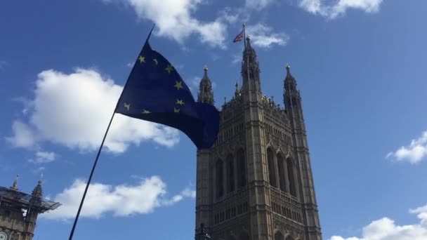 2019年9月17日 国会大厦外的反英国退欧抗议者 摄制组和欧盟旗帜 股票视频 — 图库视频影像