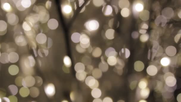 Gold Bokeh Light Golden Sparkle Background Christmas Star Glow Loop — ストック動画