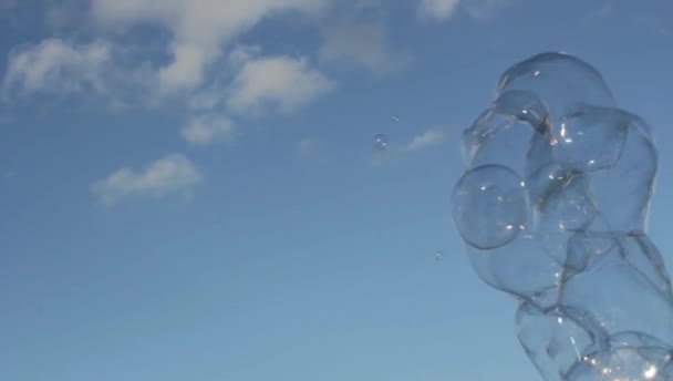 Blase Schwimmende Hintergrund Seifenblase Seifenblase Treibende Seifenblase Blauem Himmel Mit — Stockvideo