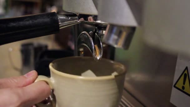 Café Espresso Americano Cappachino Máquina Café Restaurante Close Mãos Fazendo — Vídeo de Stock