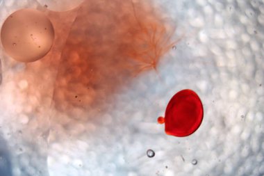 Soyut parlak kırmızı arkaplan. Kırmızı kan hücresine benziyor ama sadece kırmızı boya yağı. 